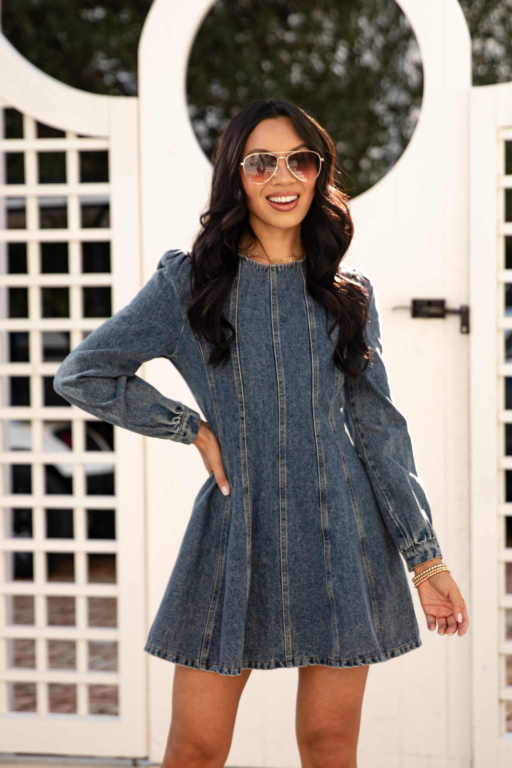 Blue Jean Beauty Denim Mini Dress